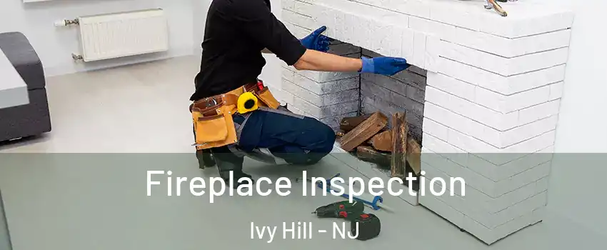 Fireplace Inspection Ivy Hill - NJ
