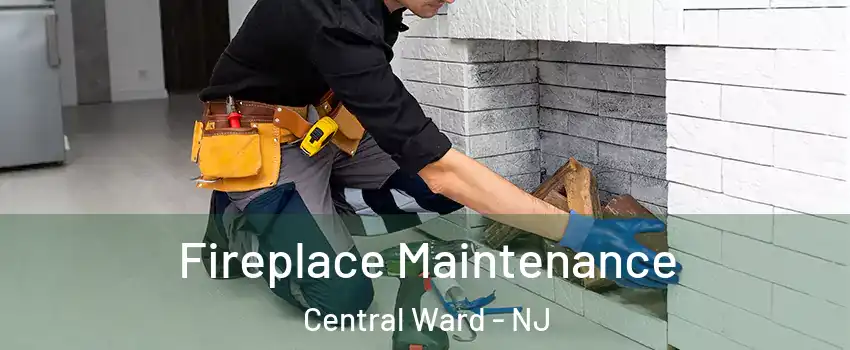 Fireplace Maintenance Central Ward - NJ