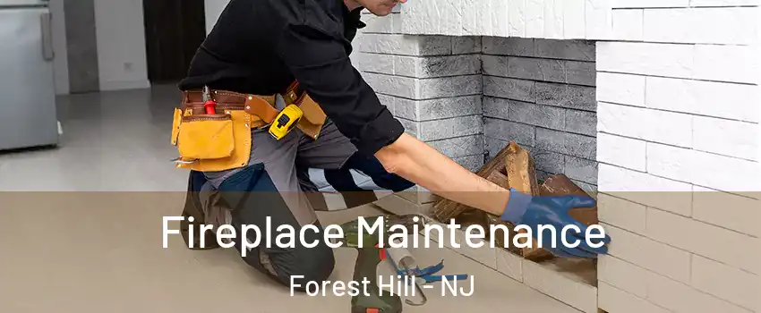 Fireplace Maintenance Forest Hill - NJ