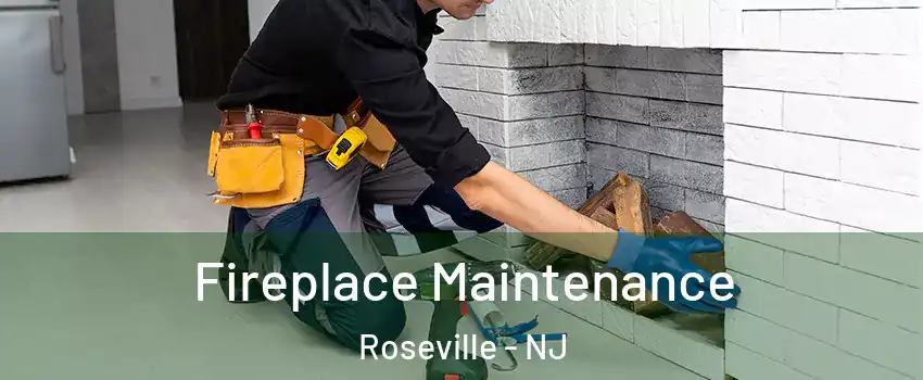 Fireplace Maintenance Roseville - NJ