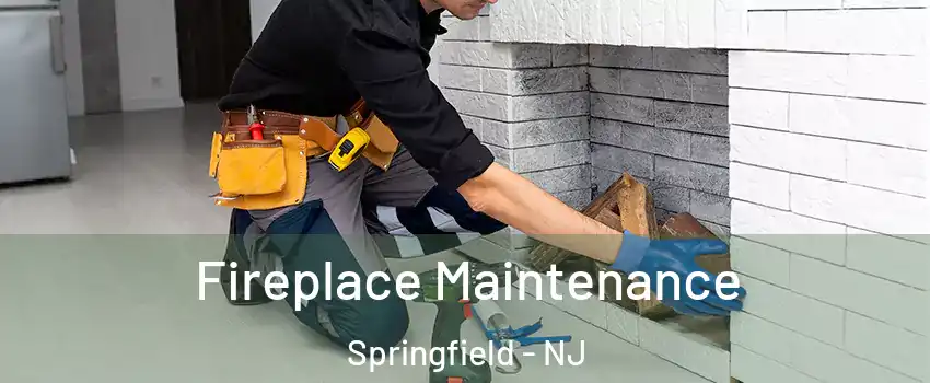 Fireplace Maintenance Springfield - NJ