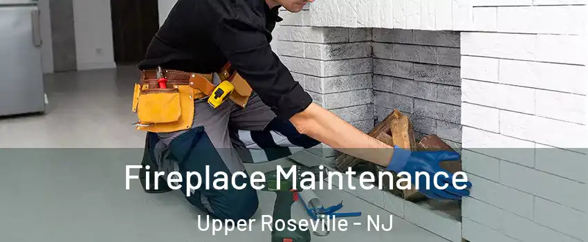 Fireplace Maintenance Upper Roseville - NJ