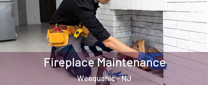 Fireplace Maintenance Weequahic - NJ