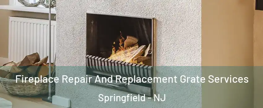 Fireplace Repair And Replacement Grate Services Springfield - NJ