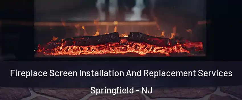 Fireplace Screen Installation And Replacement Services Springfield - NJ