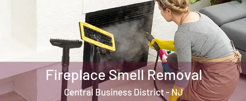 Fireplace Smell Removal Central Business District - NJ