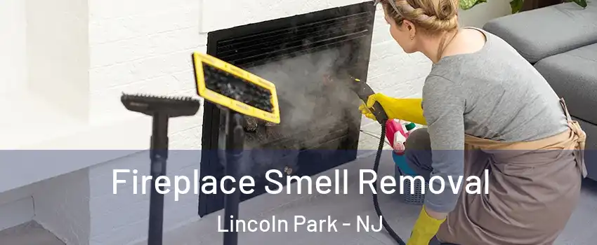 Fireplace Smell Removal Lincoln Park - NJ