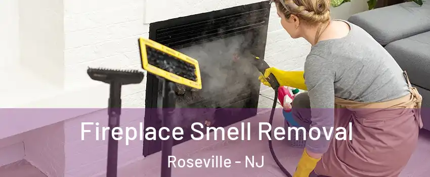 Fireplace Smell Removal Roseville - NJ