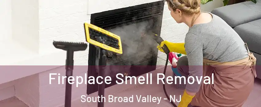 Fireplace Smell Removal South Broad Valley - NJ