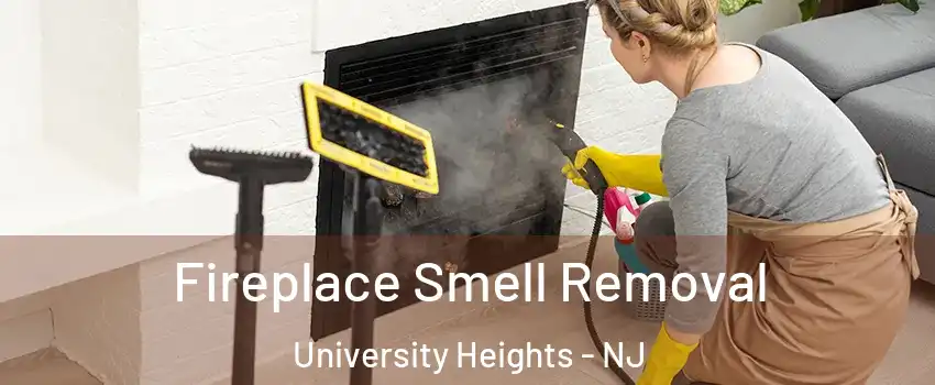 Fireplace Smell Removal University Heights - NJ