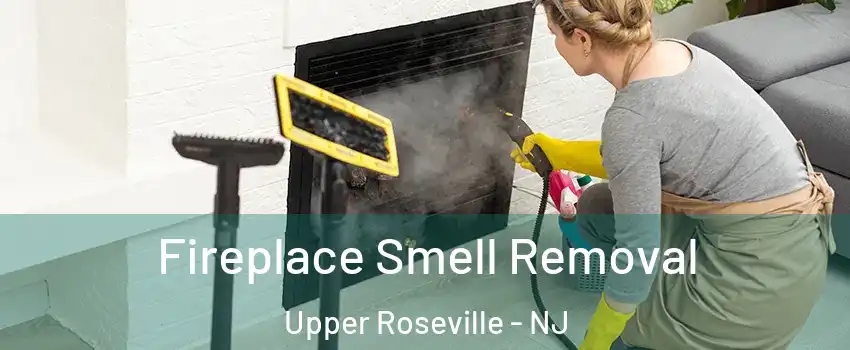 Fireplace Smell Removal Upper Roseville - NJ