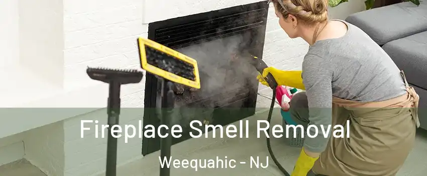 Fireplace Smell Removal Weequahic - NJ