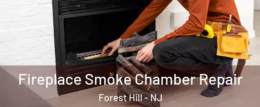 Fireplace Smoke Chamber Repair Forest Hill - NJ