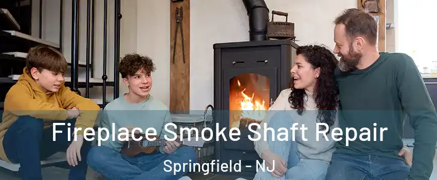 Fireplace Smoke Shaft Repair Springfield - NJ