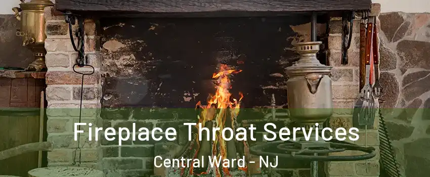 Fireplace Throat Services Central Ward - NJ