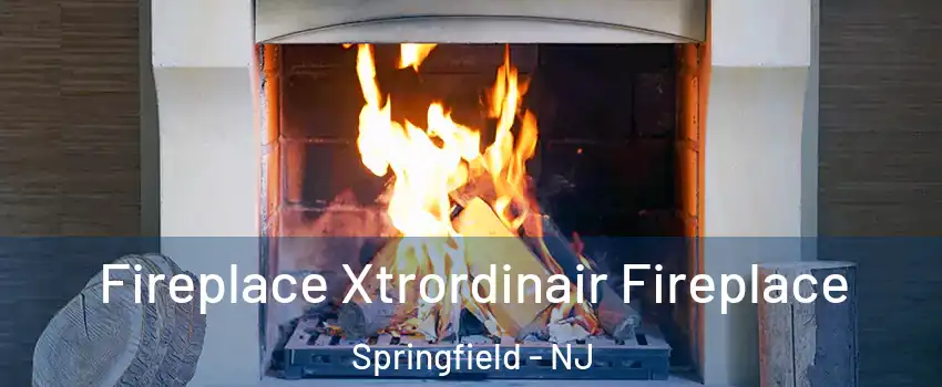 Fireplace Xtrordinair Fireplace Springfield - NJ