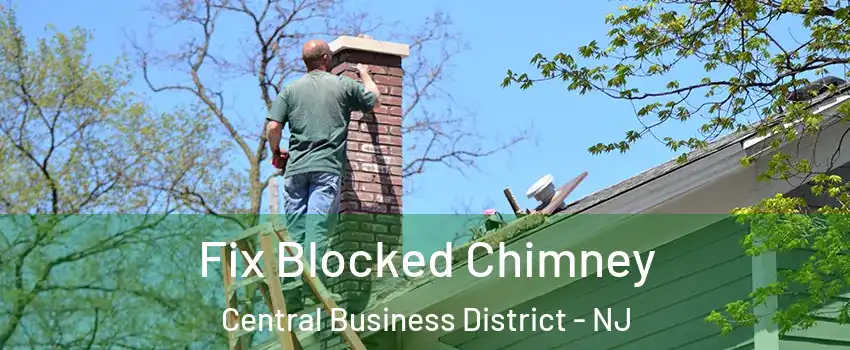 Fix Blocked Chimney Central Business District - NJ