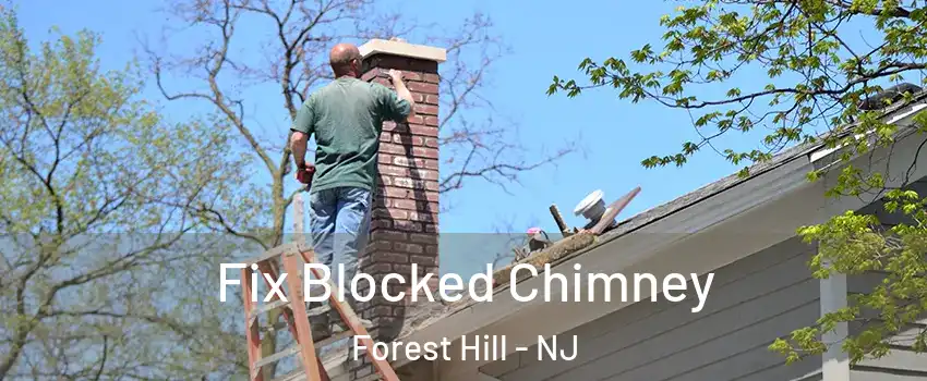 Fix Blocked Chimney Forest Hill - NJ
