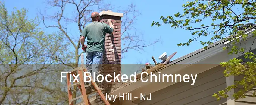Fix Blocked Chimney Ivy Hill - NJ