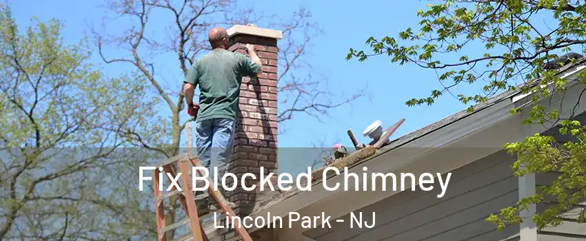 Fix Blocked Chimney Lincoln Park - NJ