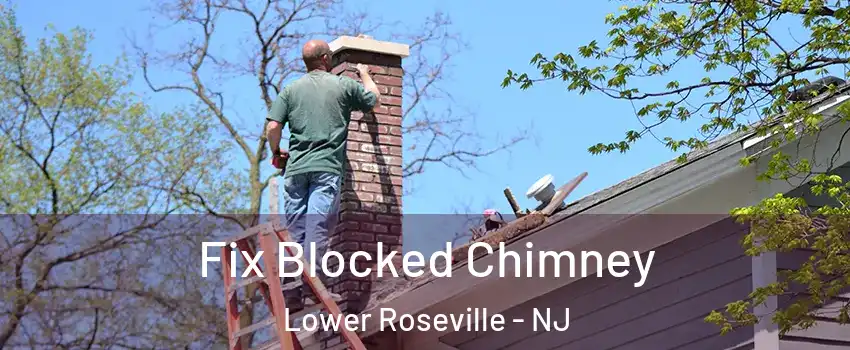 Fix Blocked Chimney Lower Roseville - NJ