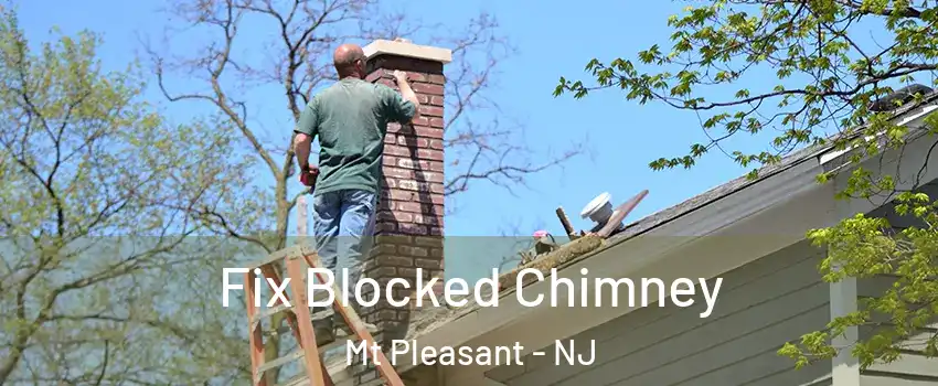 Fix Blocked Chimney Mt Pleasant - NJ