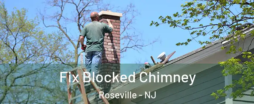 Fix Blocked Chimney Roseville - NJ