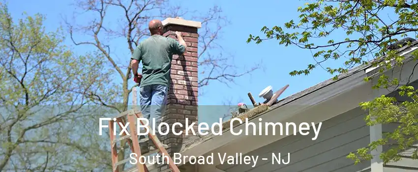 Fix Blocked Chimney South Broad Valley - NJ