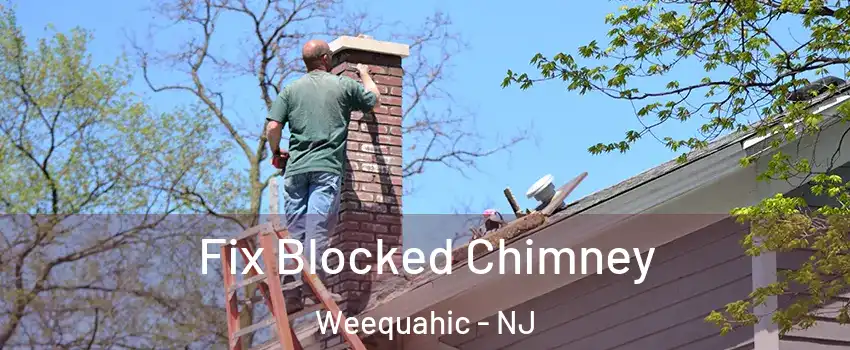 Fix Blocked Chimney Weequahic - NJ