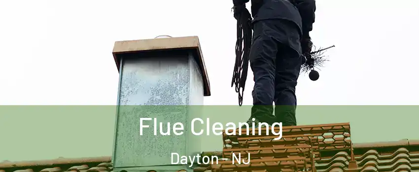 Flue Cleaning Dayton - NJ