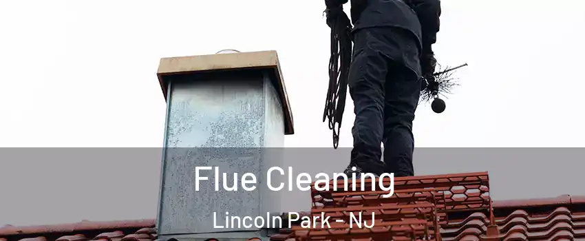 Flue Cleaning Lincoln Park - NJ