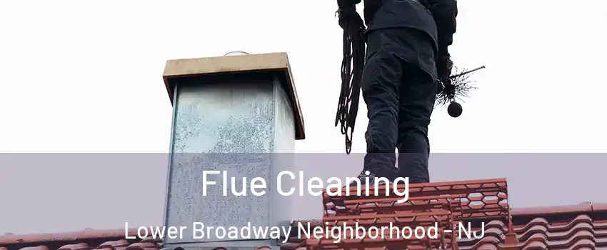 Flue Cleaning Lower Broadway Neighborhood - NJ