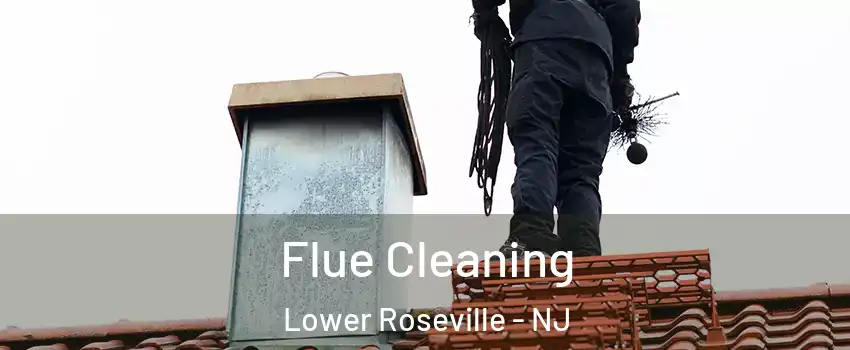 Flue Cleaning Lower Roseville - NJ