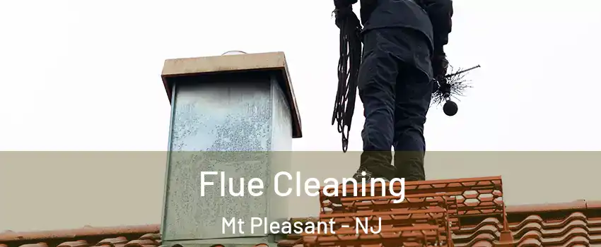 Flue Cleaning Mt Pleasant - NJ