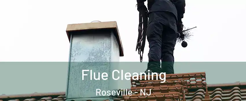 Flue Cleaning Roseville - NJ