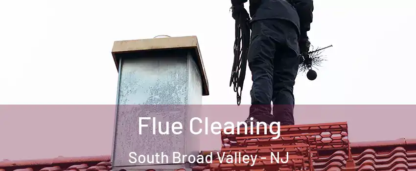 Flue Cleaning South Broad Valley - NJ