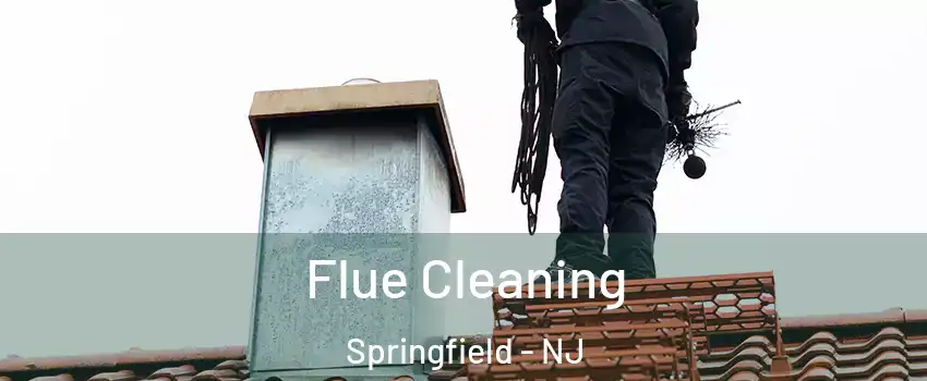 Flue Cleaning Springfield - NJ