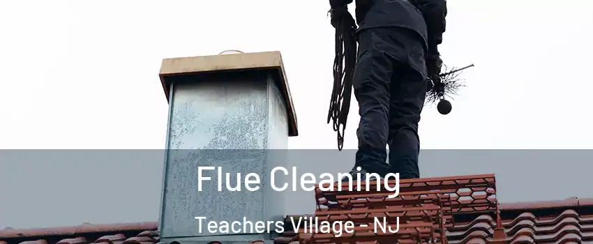 Flue Cleaning Teachers Village - NJ
