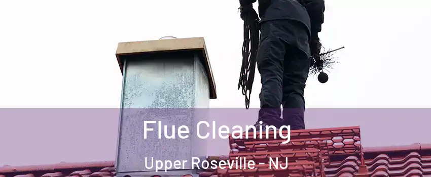 Flue Cleaning Upper Roseville - NJ