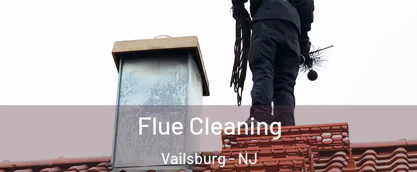 Flue Cleaning Vailsburg - NJ