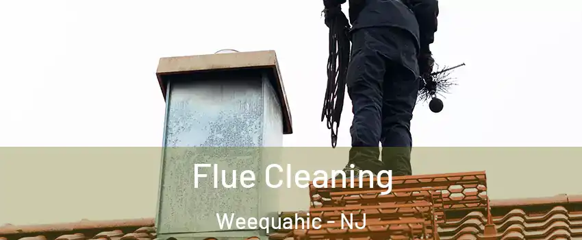 Flue Cleaning Weequahic - NJ