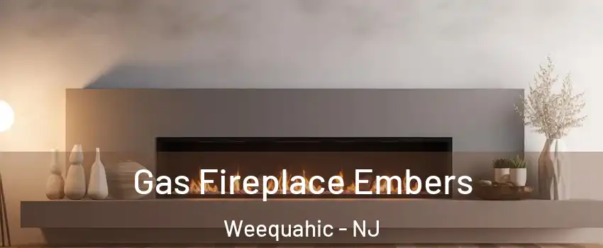 Gas Fireplace Embers Weequahic - NJ