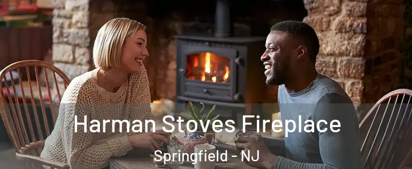 Harman Stoves Fireplace Springfield - NJ