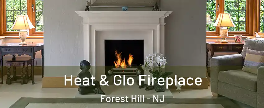 Heat & Glo Fireplace Forest Hill - NJ