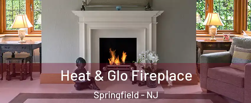 Heat & Glo Fireplace Springfield - NJ