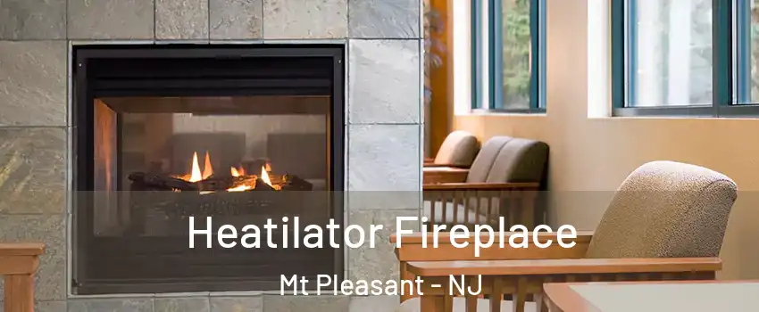 Heatilator Fireplace Mt Pleasant - NJ