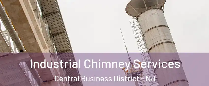 Industrial Chimney Services Central Business District - NJ