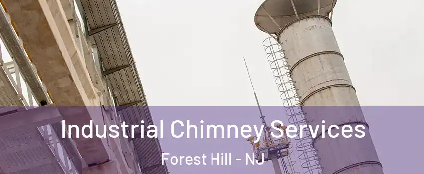Industrial Chimney Services Forest Hill - NJ