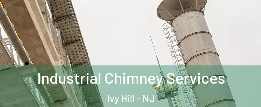 Industrial Chimney Services Ivy Hill - NJ