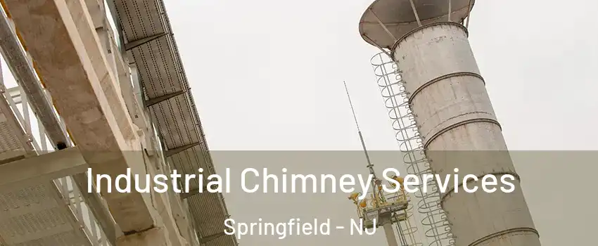 Industrial Chimney Services Springfield - NJ